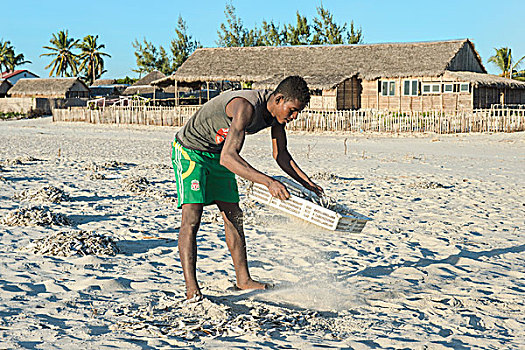 马尔加什人,渔民,收集,干鱼,海滩,穆龙达瓦,省,马达加斯加,非洲
