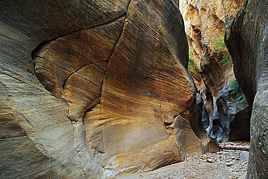 砂岩构造,狭窄,峡谷,锡安国家公园,犹他,美国