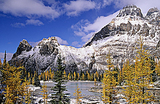 山,幽鹤国家公园,不列颠哥伦比亚省,加拿大