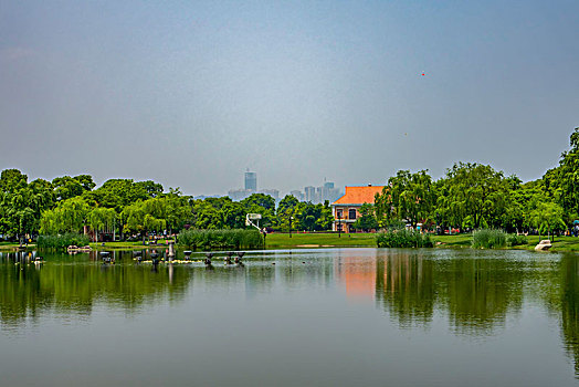 长沙橘子洲风光,绿地