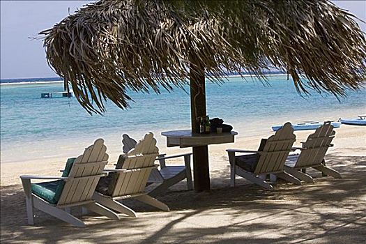 沙滩椅,棕榈屋,海滩,小湾,海湾群岛,洪都拉斯