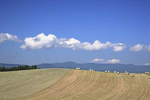 草场,山