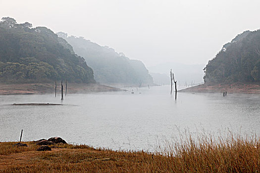 清晨,湖,佩里亚国家公园,喀拉拉,印度,南亚,亚洲