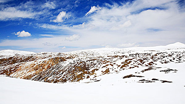 八一冰川祁连山脉雪山积雪