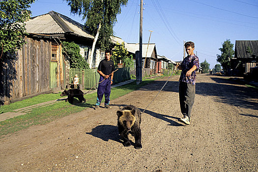 俄罗斯,西伯利亚,河,男人,棕熊,幼兽