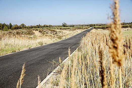 盘山公路