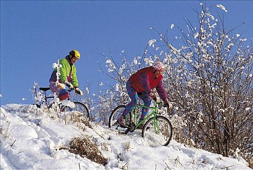 男人,骑车,自行车,山地车,雪中,冬天,探险,假日