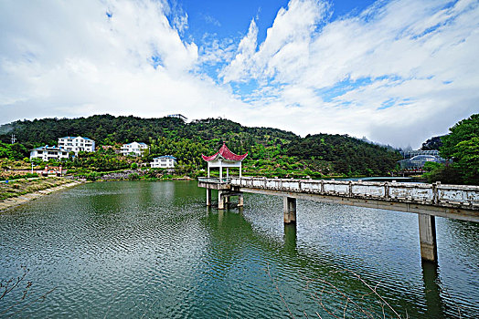 杜鹃花,大别山