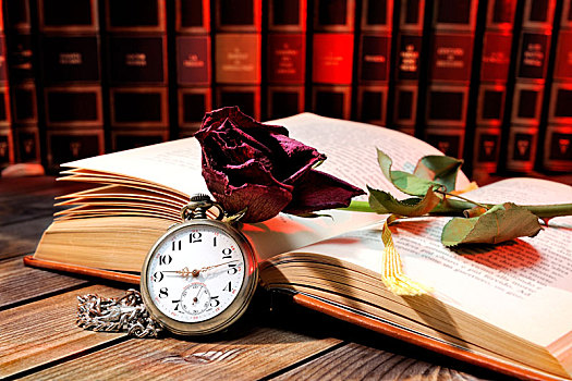 红玫瑰,萎蔫,页面,老,书本,时间,老式,怀表