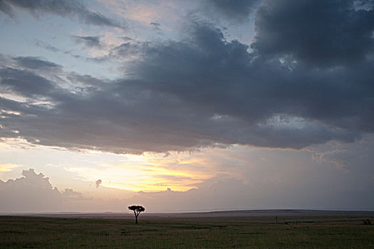乌云,上方,非洲,马赛马拉国家保护区,肯尼亚