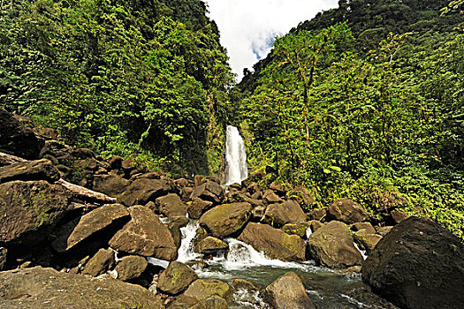 dominica,morne,trois,pitons,twin,waterfalls,of,trafalgar,falls