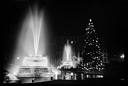 喷泉,圣诞树,特拉法尔加广场,伦敦,十二月,艺术家