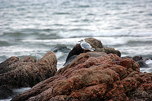 秦皇岛山海关风光