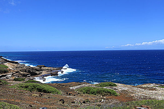 夏威夷海边风光