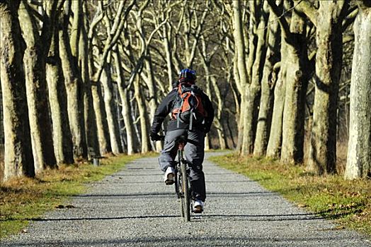 山地自行车,骑,道路,德国,欧洲