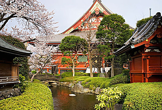 日本寺庙,花园,河流,石桥,东京,日本