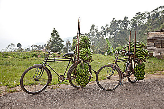 两个,自行车,路边,一堆,香蕉,布隆迪,非洲