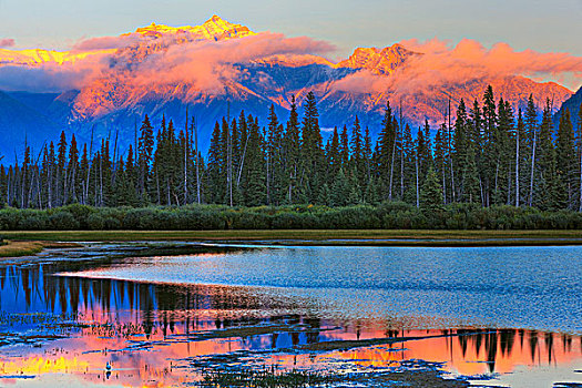 反射,树,湖,维米里翁湖,班芙国家公园,艾伯塔省,加拿大