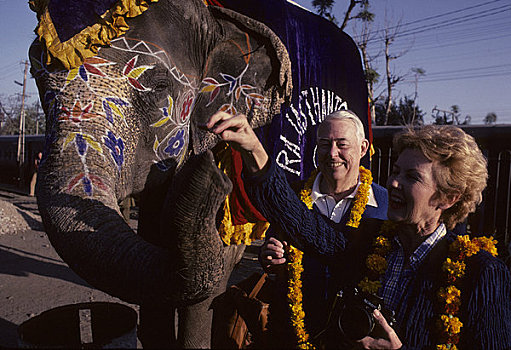 北印度,拉贾斯坦邦,斋浦尔,欢迎,游客,大象