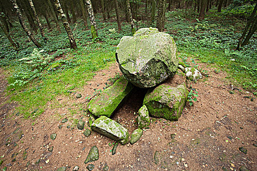 古老,巨石墓,树林,梅克伦堡前波莫瑞州,德国,欧洲