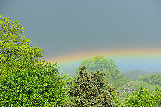 风景,彩虹,普拉蒂纳特