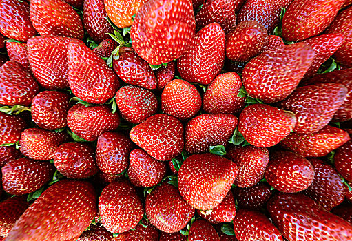 草莓,三角洲,阿根廷,南美