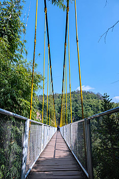 川西竹海悬索桥