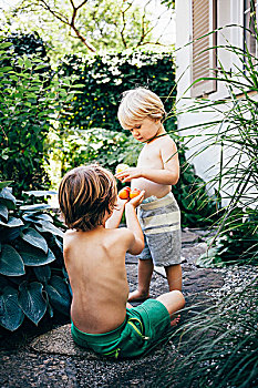 男孩,花园,小路,吃,橘子,布鲁登茨,奥地利