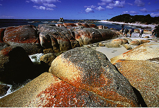 人,靠近,石头,海滩,火焰湾,塔斯马尼亚,澳大利亚