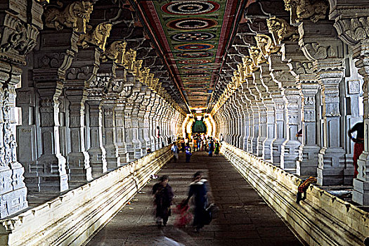 印度,泰米尔纳德邦,脚,长,走廊,庙宇
