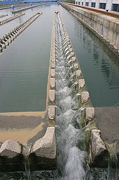 广州西洲水厂