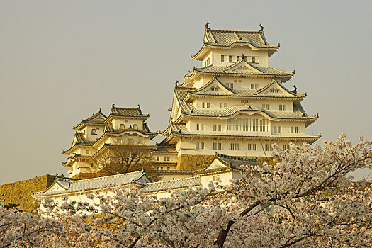 姬路城堡,春天,兵库,日本