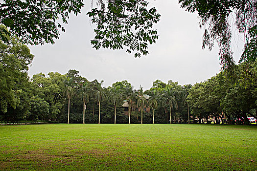 广州中山大学