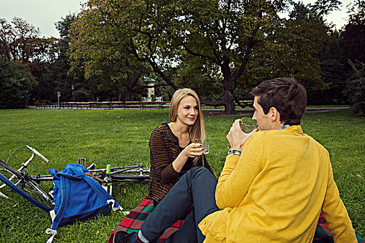 年轻,情侣,喝,葡萄酒,野餐毯,公园
