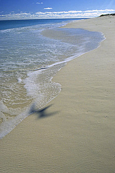 岛屿,鸟岛,白色,海滩,海浪