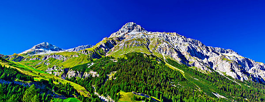 阿尔卑斯山,山,夏天,全景