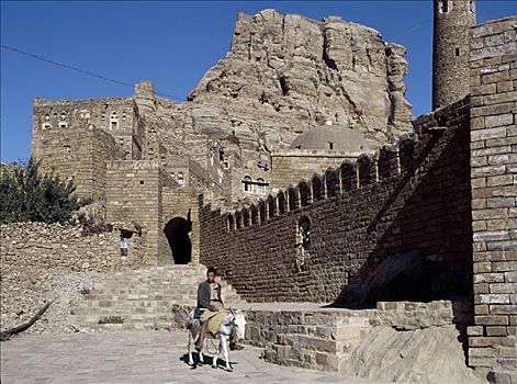 也门,男孩,驴,古镇,一个,高地,城镇,巨大,墙壁,石头,房子,路,街道,脚,高,山