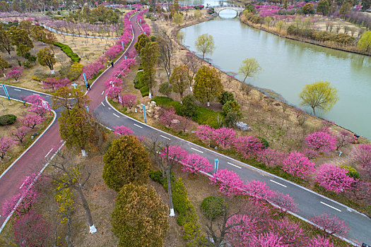 江苏省盐城市大丰区梅花湾景区