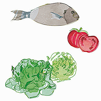 鱼肉,西红柿,莴苣,插画