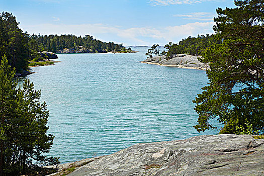 小湾,水,自然保护区,瑞典