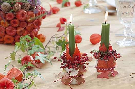 秋天,酸浆属植物,桌饰