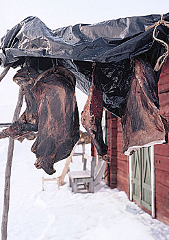 瑞典,肉,悬挂,干燥,户外,房子