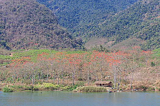 田园风光