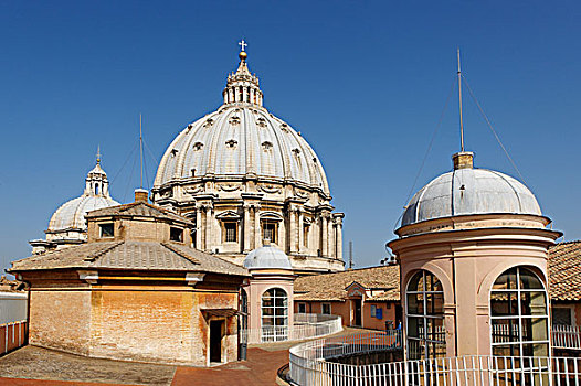 屋顶,大教堂,梵蒂冈,罗马,意大利,欧洲