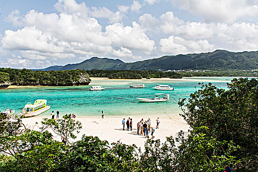 湾,石垣岛,日本