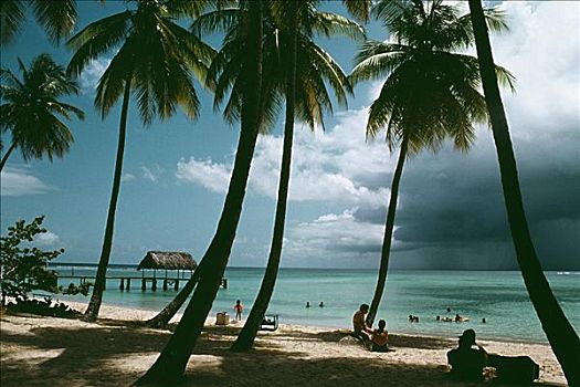 景色,海滩,晴天,多巴哥岛,加勒比海