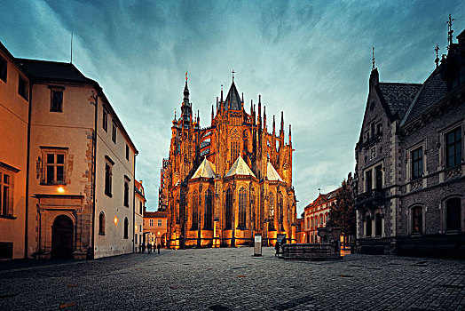 大教堂,布拉格城堡,捷克共和国,夜晚