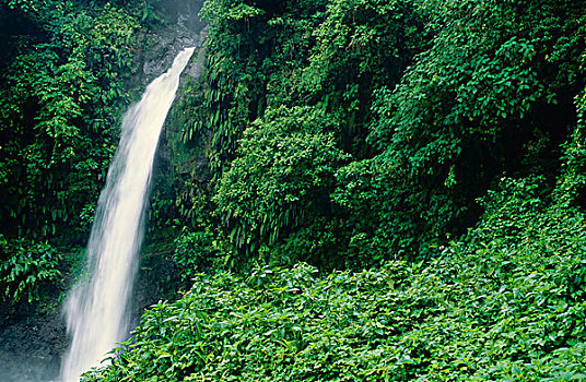 瀑布,靠近,火山,哥斯达黎加