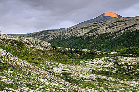 风景,靠近,国家公园,挪威,斯堪的纳维亚,欧洲