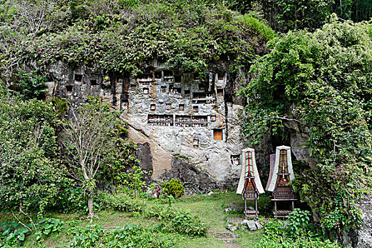 悬挂,墓穴,石头,苏拉威西岛,印度尼西亚,亚洲